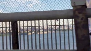 Entering NYC … my favorite part! #newyork #nyc #city #bmorenews #blackusanews #STEMCITYUSA