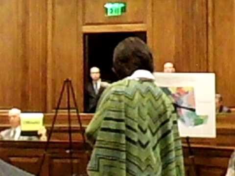 Carletta Fellows, Maryland Shero, MD Gov ‘s Redistricting Hearing, Annapolis, 12.22.11