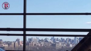 Special Report by Quandra Gaines: “I Am Black Wall Street” by Doni Glover