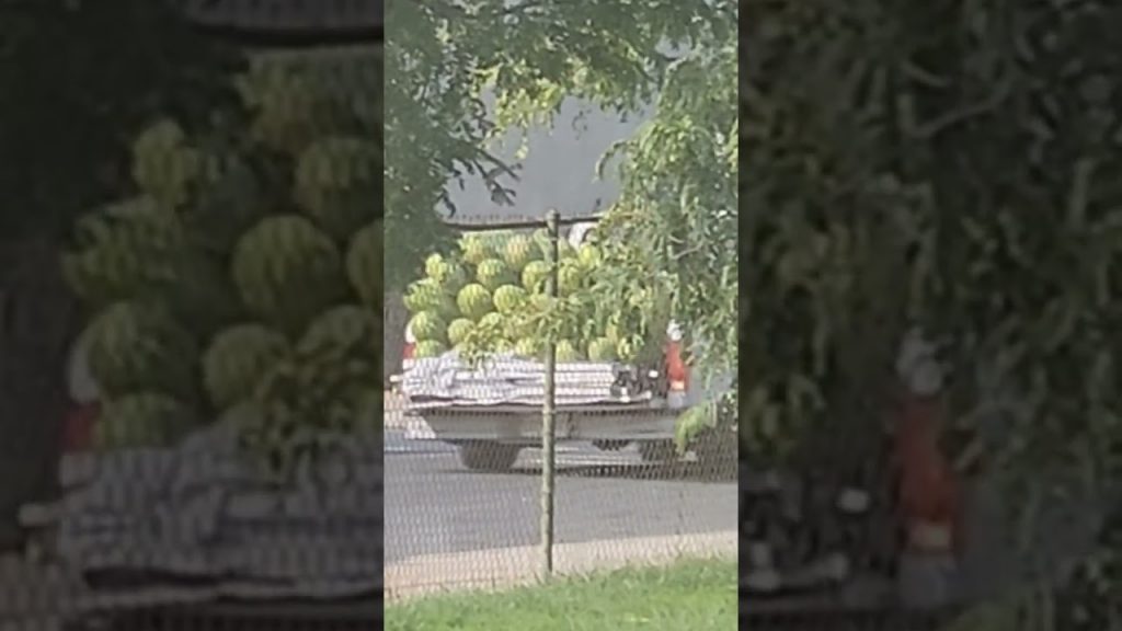 Arabbers with watermelons for sale in Sandtown