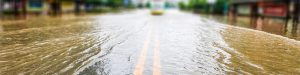 Interview with a Black environmental scientist from Prince George’s on flooding and local impact by Richard DeShay Elliott