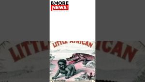 Black babies as alligator bait in USA? Yep!