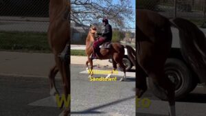 This is what other news outlets miss: the innate beauty of an otherwise forsaken community #sandtown