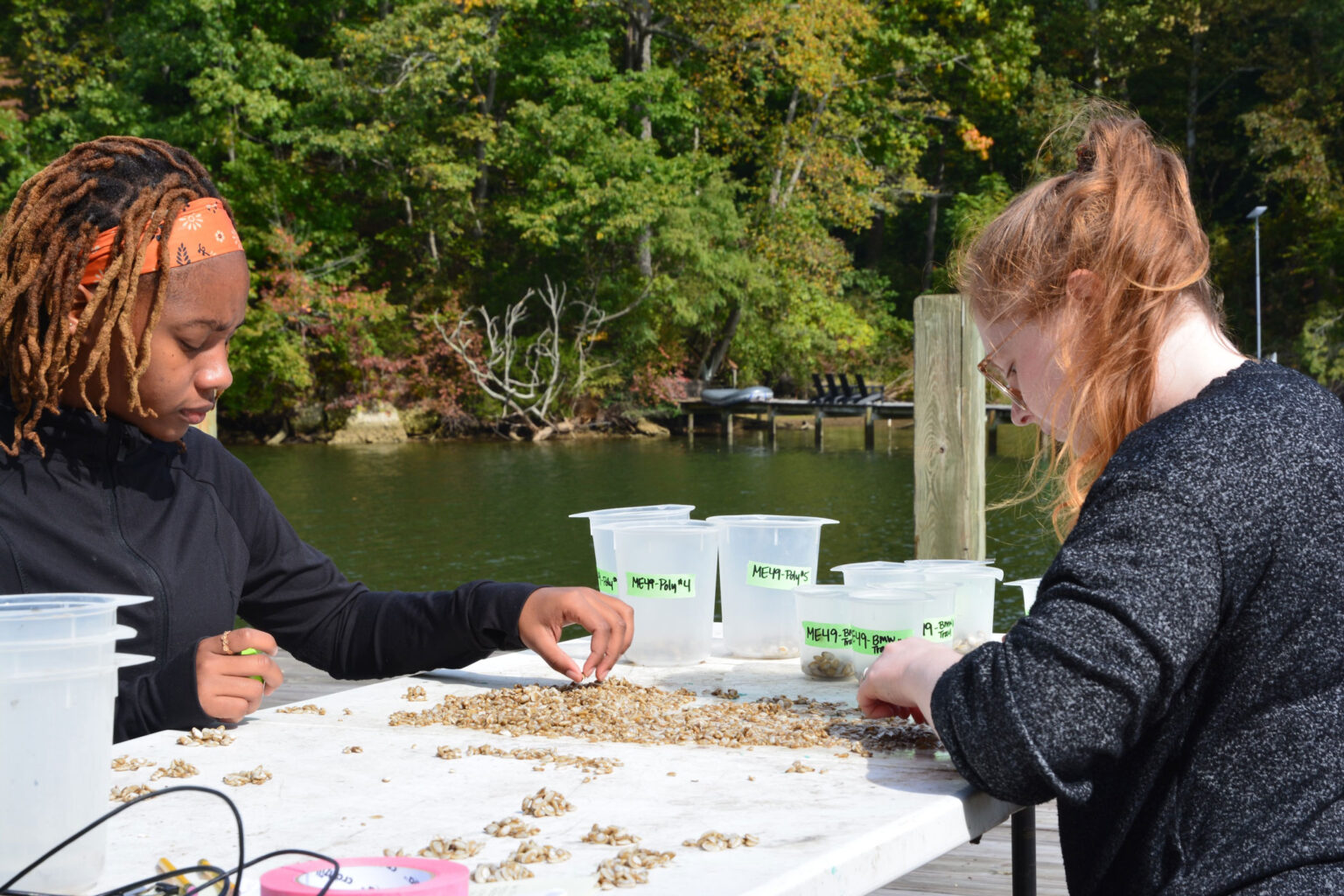 Morgan State’s PEARL Awarded State/Federal Funding to Advance Soft-Shell Clam Aquaculture Growth and Address Urban Coastline Climate Resiliency