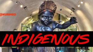 INDIGENOUS: The series continues …