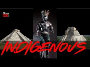 INDIGENOUS: The Cost of Declassification