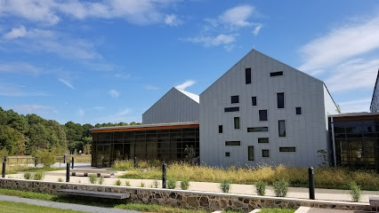 Harriet Tubman Day Celebration: Roots, Resilience, and Responsibility II March 7th