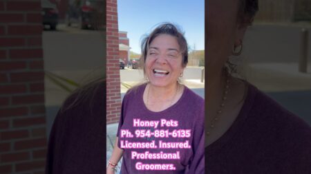 Honey Pets, Professional Groomers #pets #dogs #groomersoftiktok #entrepreneur